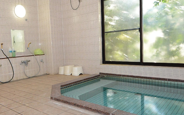 Binchotan No Yu Onoya Hotel – Pool – Tagajo