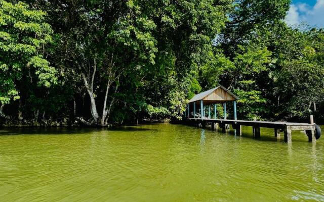 Wooden House