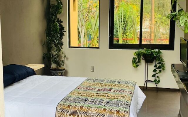 The Reef House Condesa