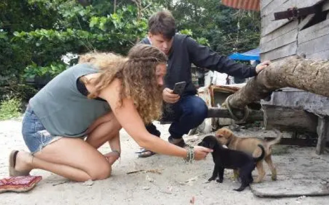 Peace And Love Boutique Hostel