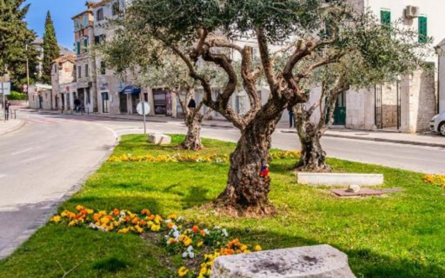 Centar Split Manuš
