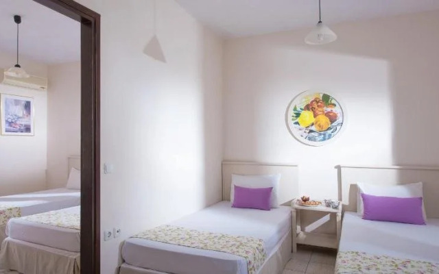 Summer Dreams by Checkin