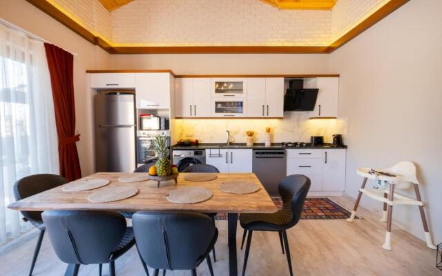 Villa dumi house