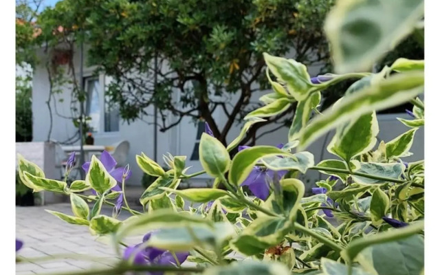 House Old Town Trogir