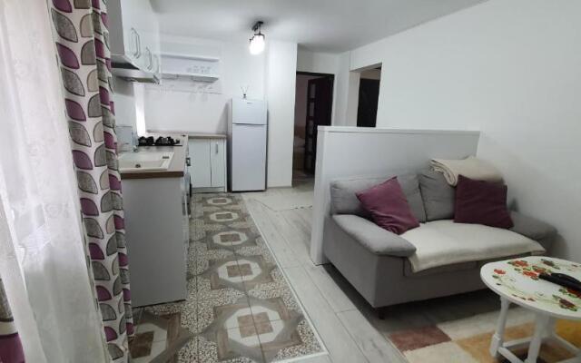 Nehoiu apartament