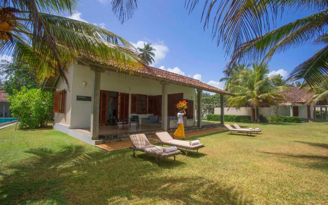 The Frangipani Tree By Edwards Collection