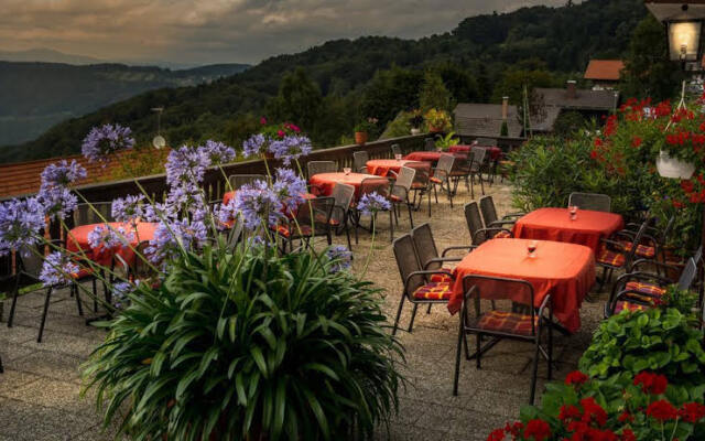 Panorama-Landgasthof Ranzinger