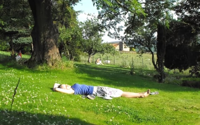 The Tree Relaxation Retreat