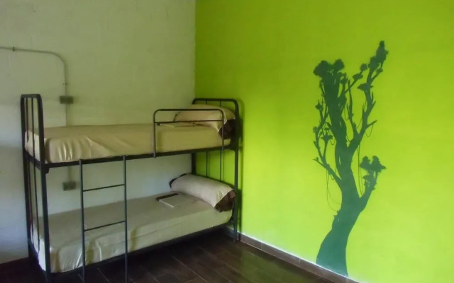 Hakuna Matata Hostel