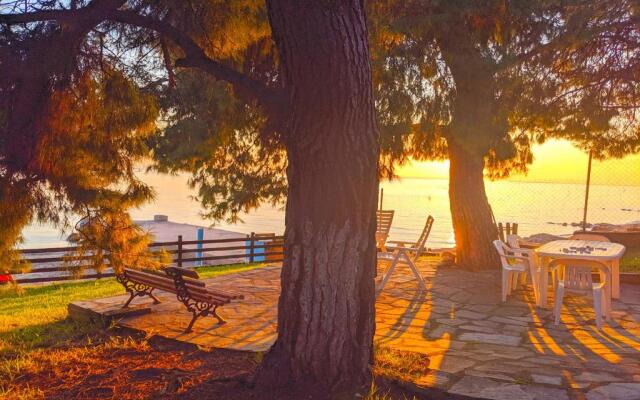 Barlee II Beach Front House, Metamorfosi