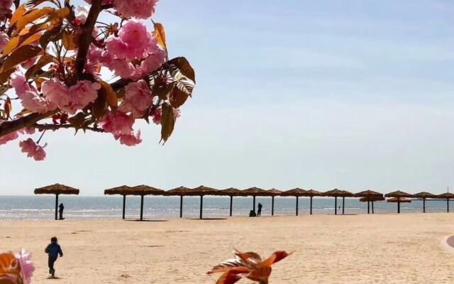 Jia Zhao Ye Sunny Seaview Apartment