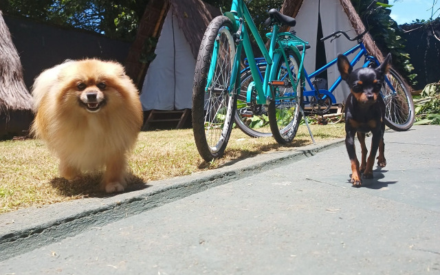 Tropical Casa Ubatuba