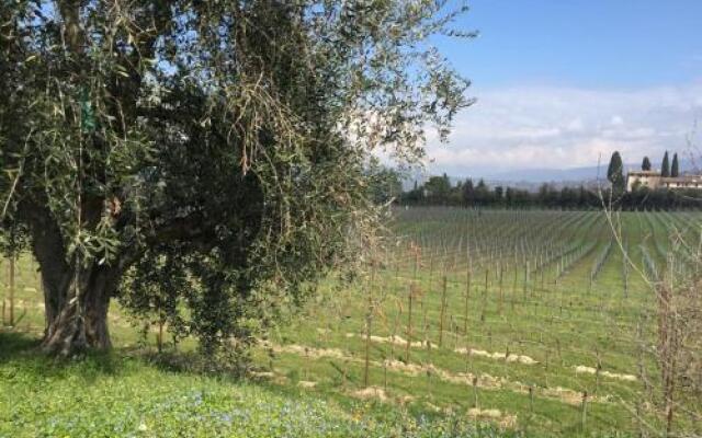 Tenuta La Ca