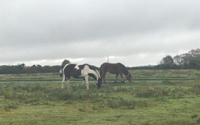 Bungalow on the South Coast & new Forest