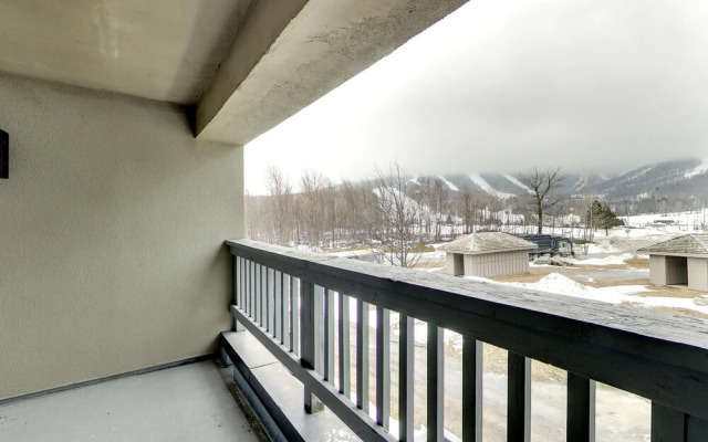 Mt Green 3-e10 in Killington