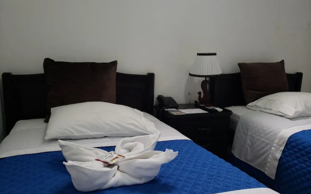 Hostal Flightless Cormorant