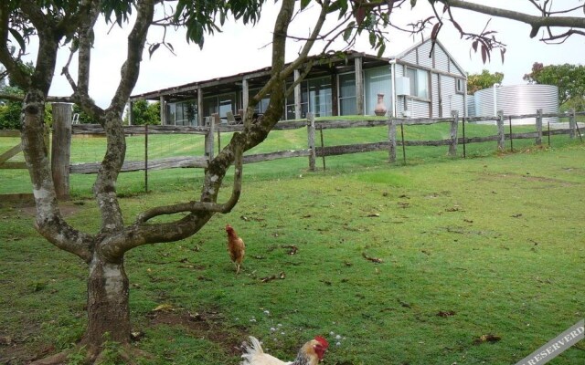 Mango Hill Farm