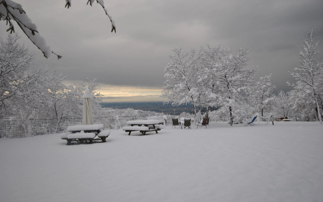 Agriturismo Il Porcellino