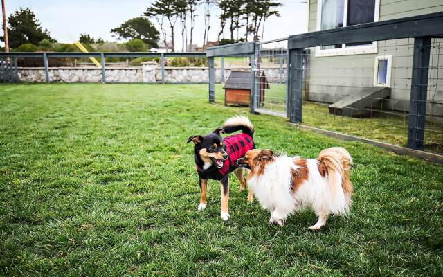 Beachcomber Motel Fort Bragg