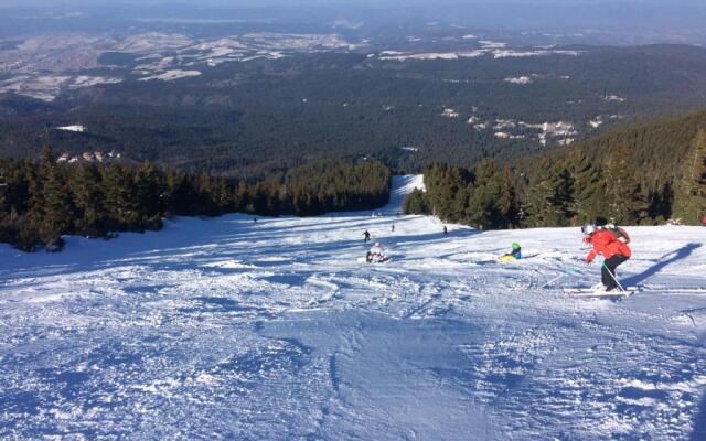 Studio Borovets in Hotel Flora