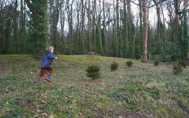 Watermouth Lodges