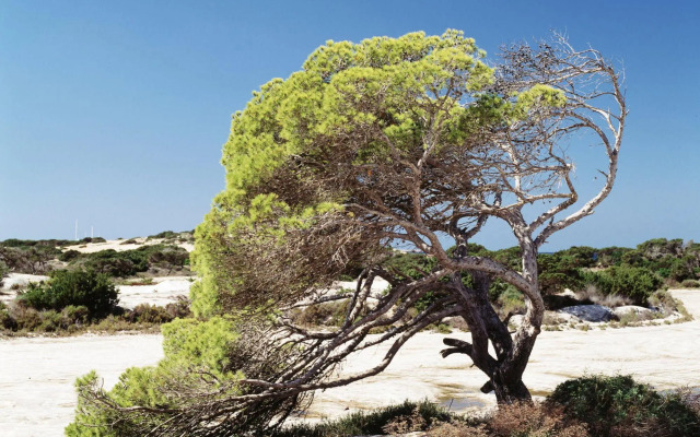 Hotel Riu Palace La Mola