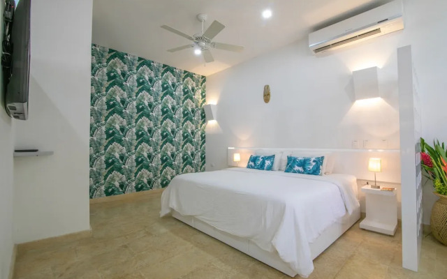 El Cactus Luxury Apartments in Historic Center