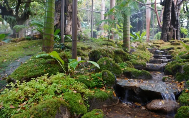 Tree Scape Retreat Resort