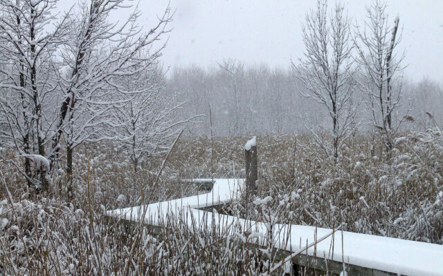 Maumee Bay Lodge and Conference Center
