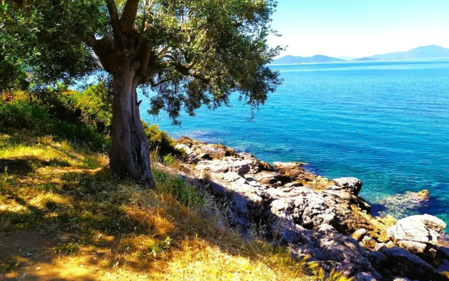 Villa Leonidas GreeceFiloxenia