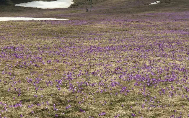 Panorama Donovaly 34-B