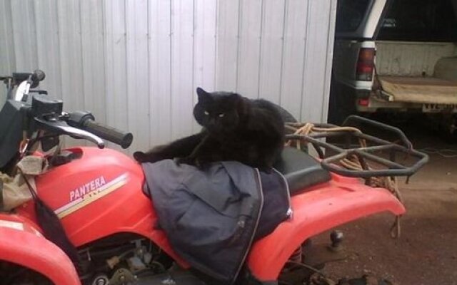 Booleroo View Bed and Breakfast