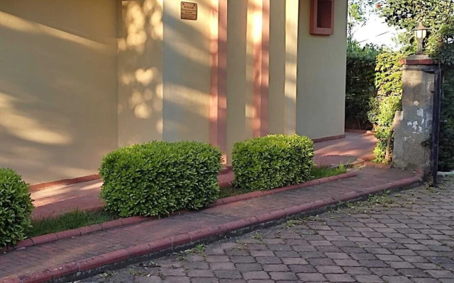 Alissa Suite