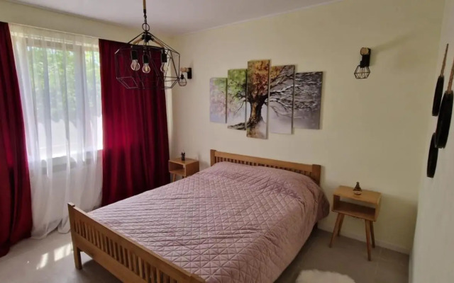 University Apartment