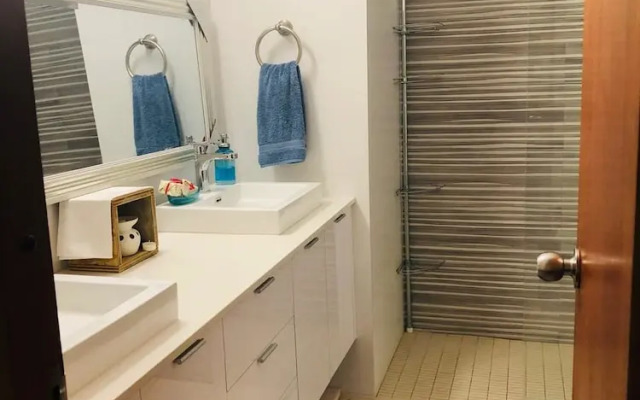 Suburb Pethouse Apartment