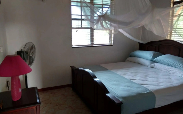 Mainroad Suite