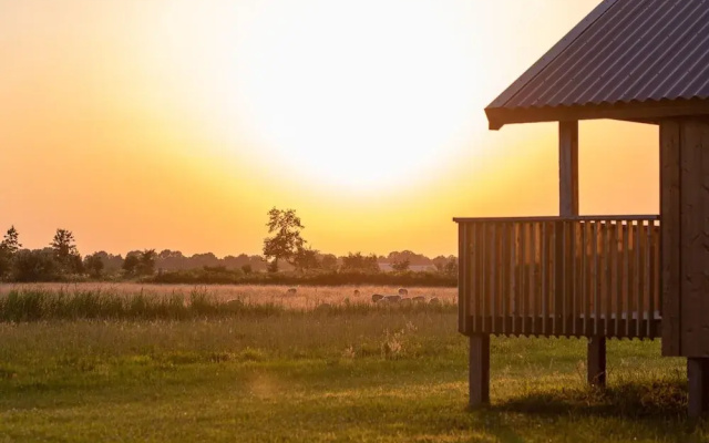 Lodges in Drenthe With Scenic Meadow Views