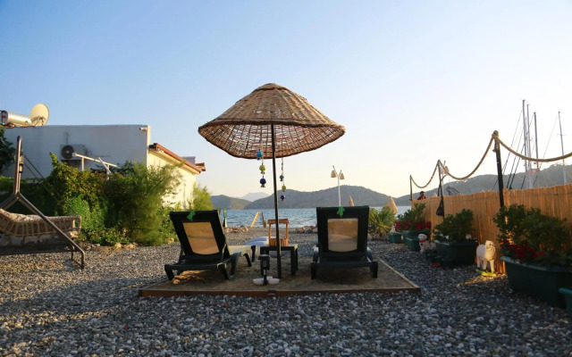 Tiny House Echino söğüt