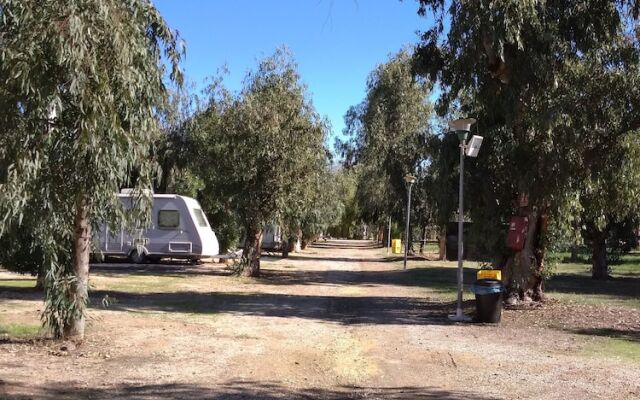 Camping la Naranja