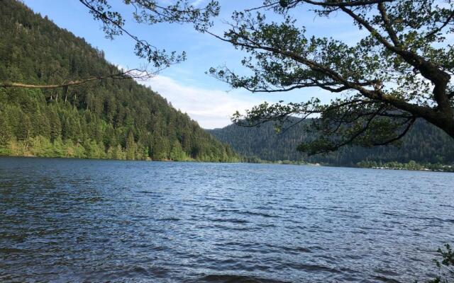 Chalet LE TREMPLIN, 4 à 5 pers, XONRUPT-LONGEMER