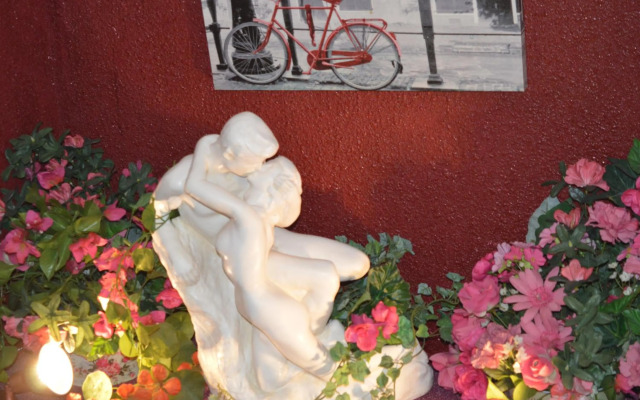 Hotel Myosotis