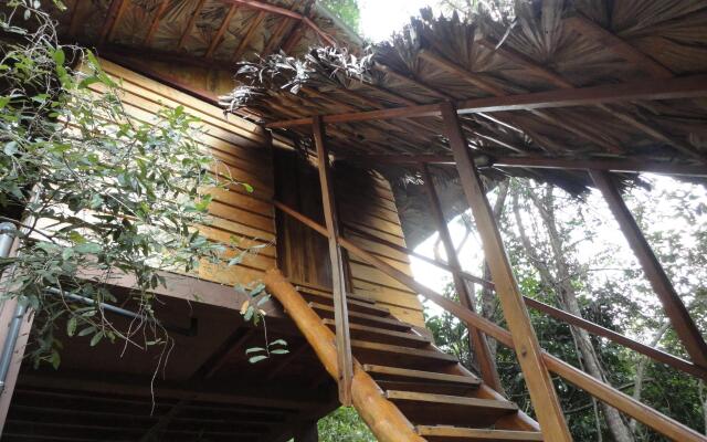 INN On The Tree Eco Resort Sigiriya