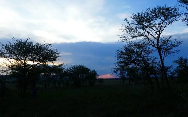 Serengeti Acacia Central Camp