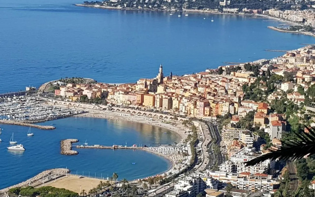 Olguita
