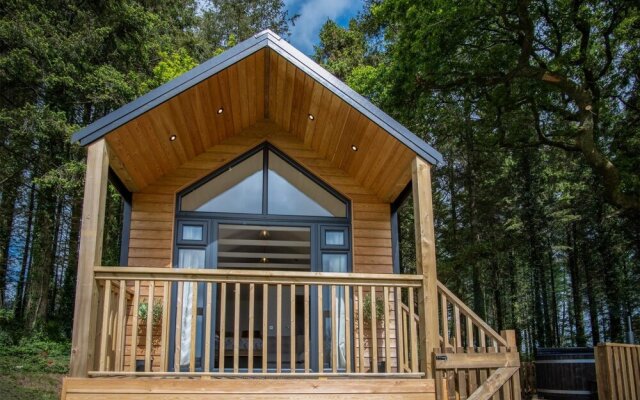 Cabin In The Woods - 1 Bedroom Lodge - Kilgetty