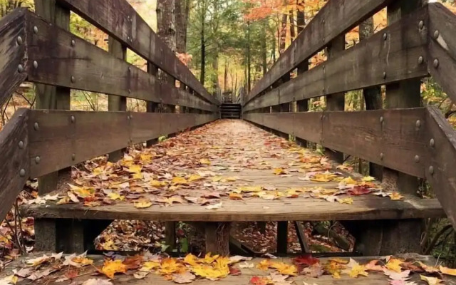 Nacoochee Valley Lodge