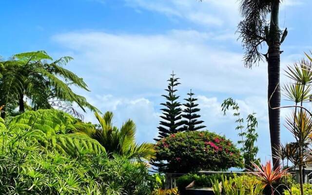 Rainforest Inn