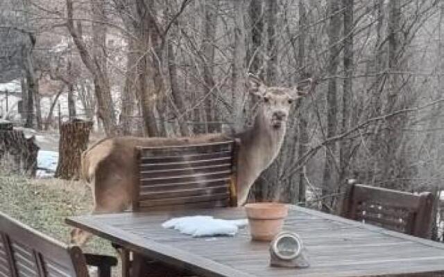 Casa vacanze al Castello