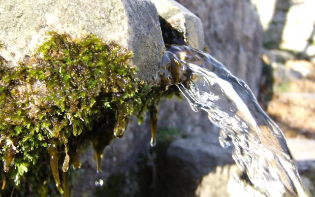 Chambres D'hôtes Littariccia