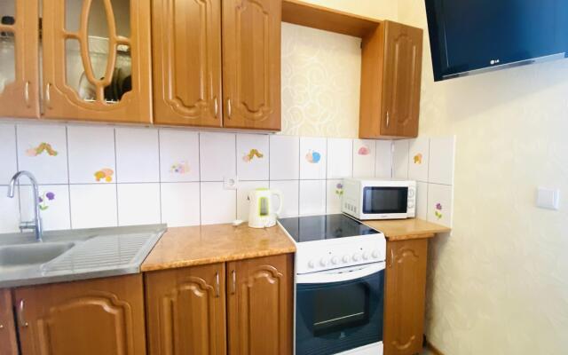 Apartment North on Sovetskaya str., 108